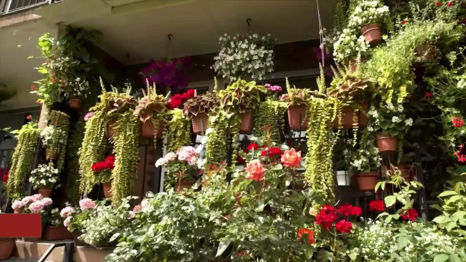 najpiekniejsze-balkony-i-ogrody-docenione.mp4