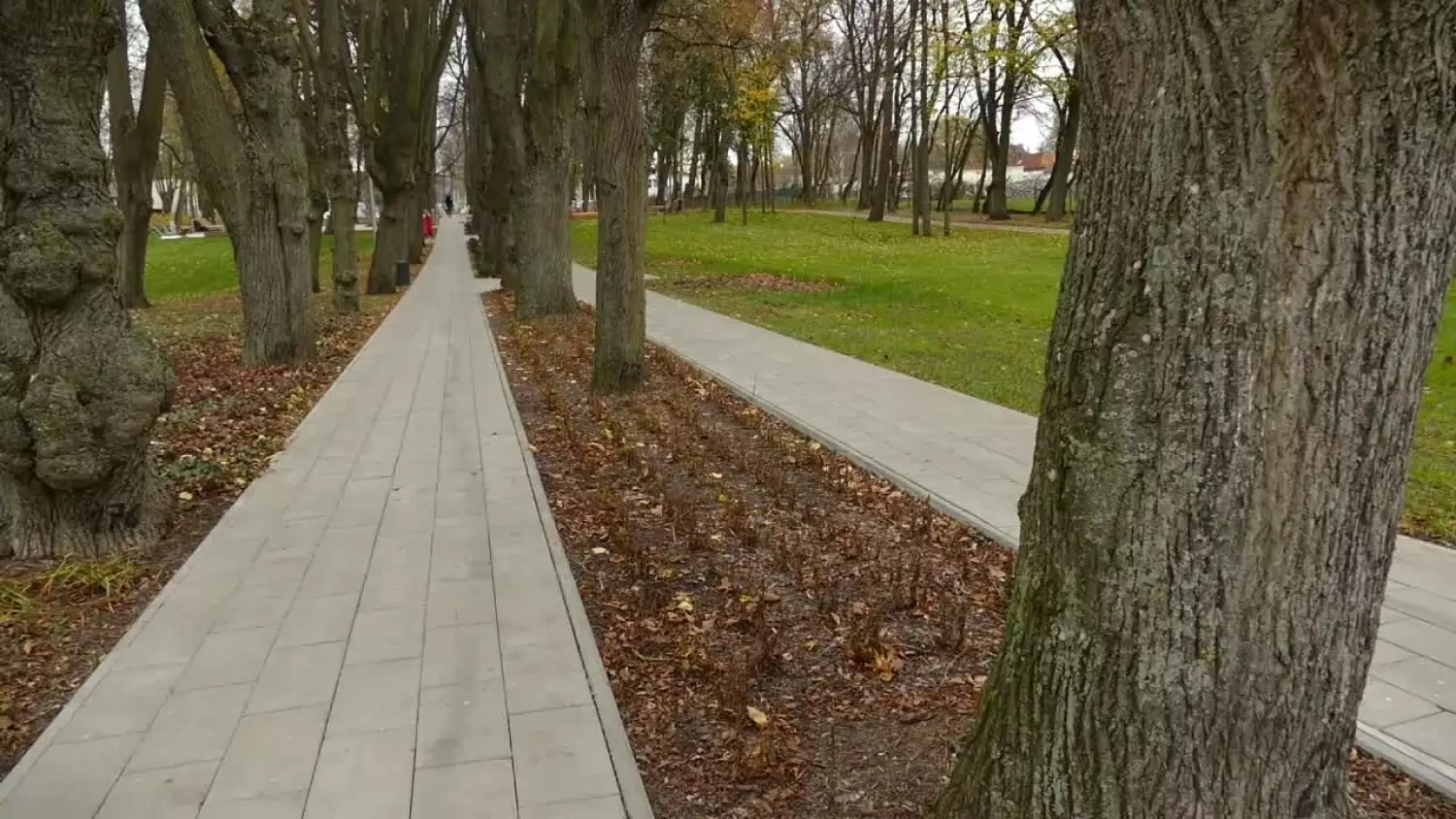 za-niedlugo-otwarcie-parku-kaszubskiego.mp4