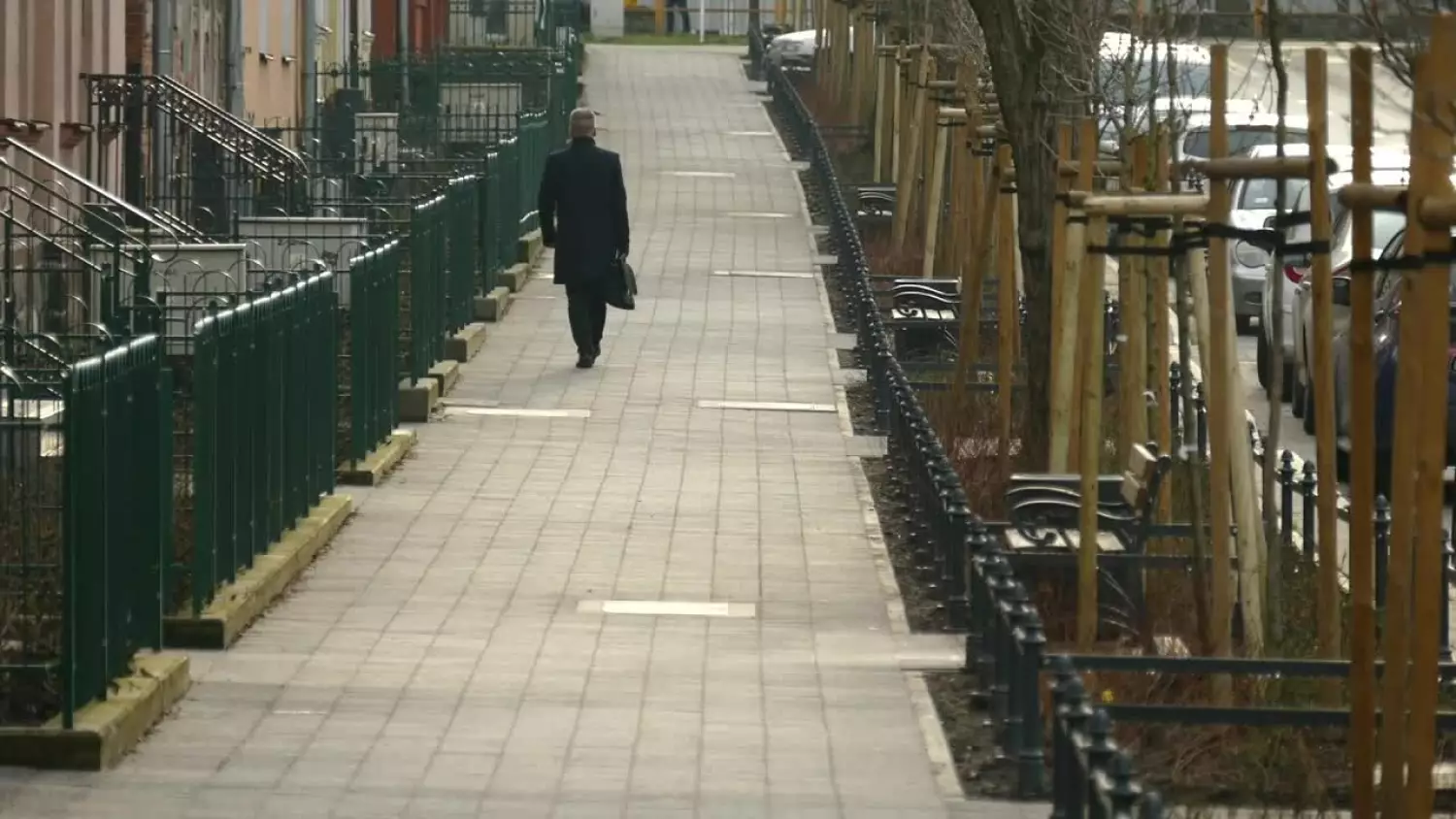 nowe-nasadzenia-przy-ul-kopernika.mp4