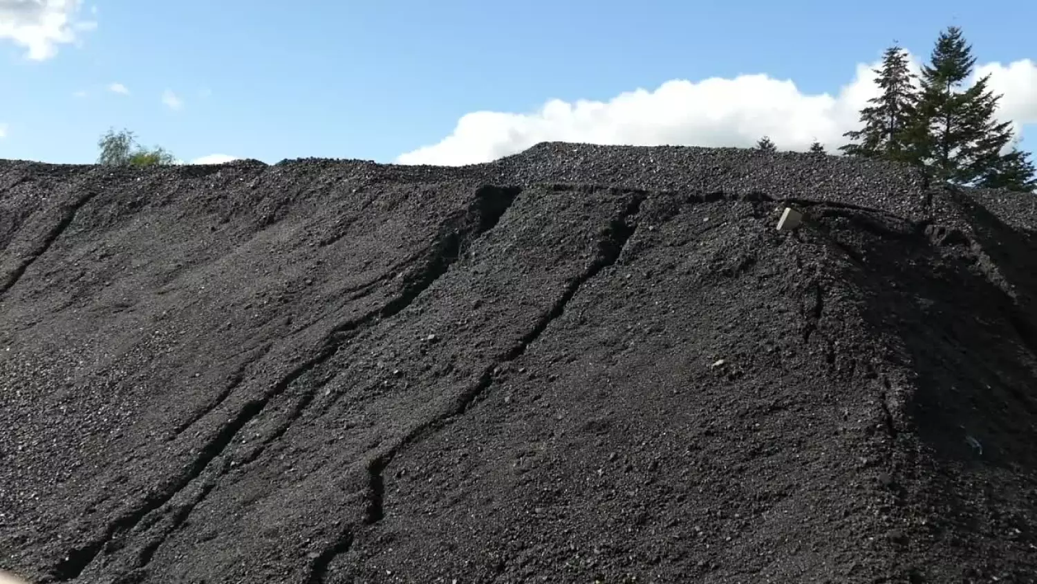 nadzwyczajna-sesja-um.mp4