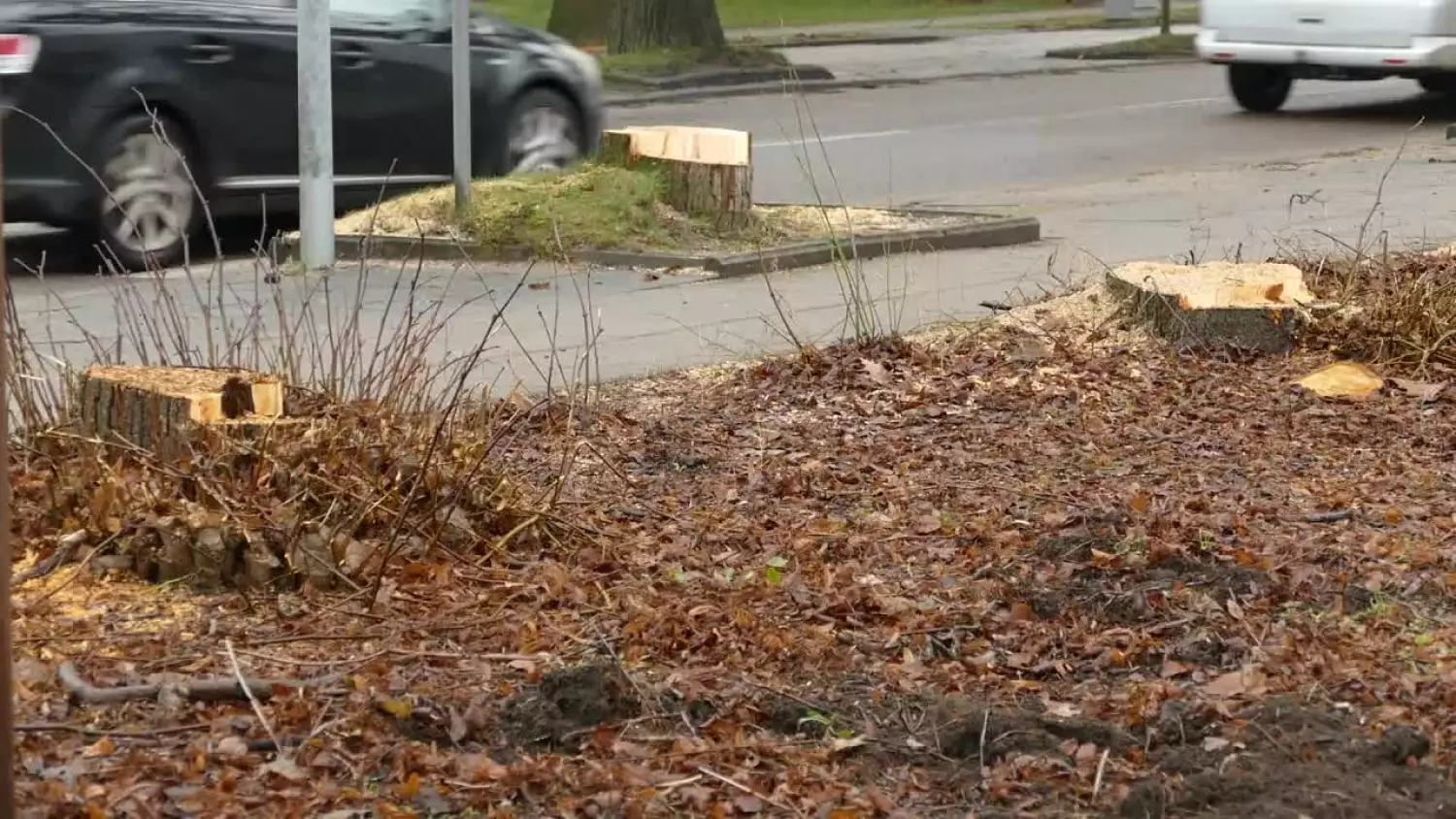 w-poniedzialek-rusza-przebudowa-ul-inwalidow-wojennych.mp4