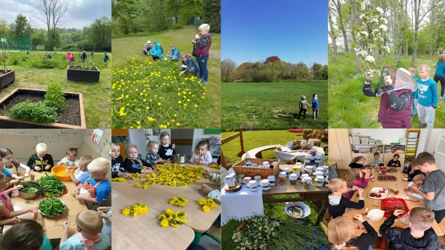 blizej-natury-z-ekopracownia.mp4