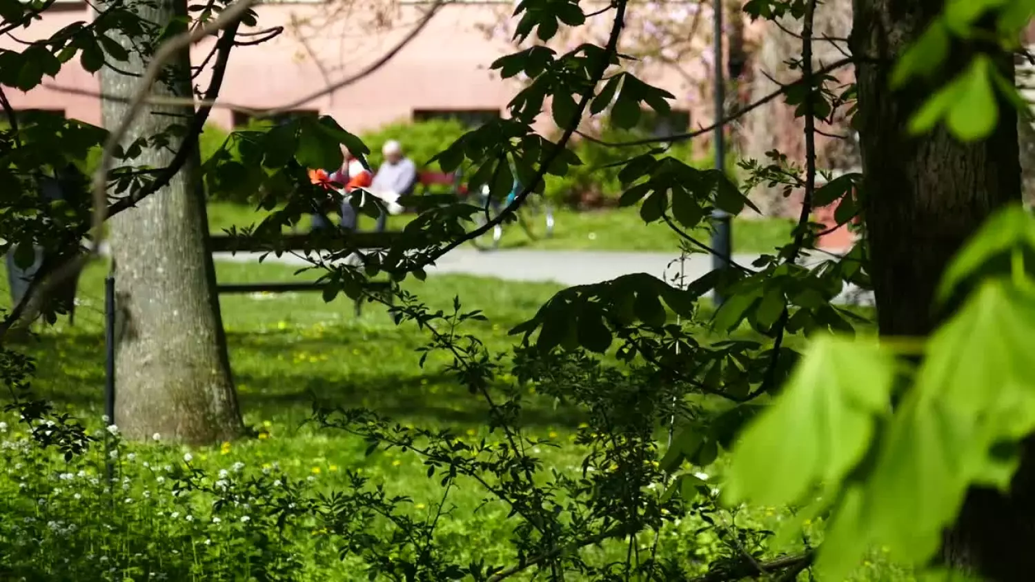 bk-wiosna-w-parku.mp4