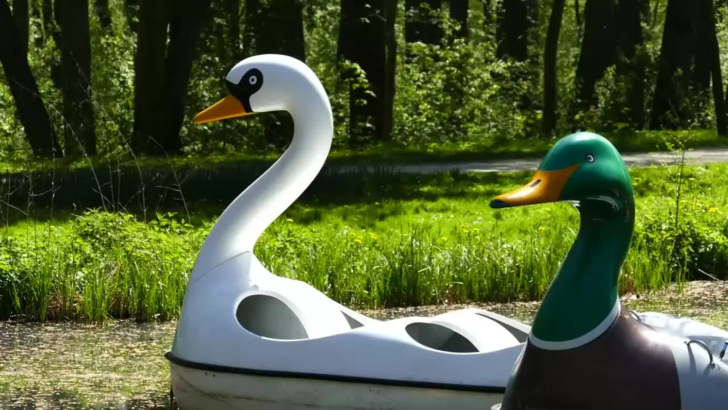 rowerki-wodne-w-parku-x264.mp4