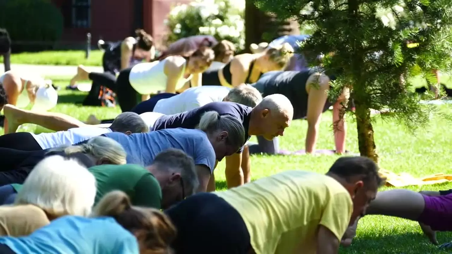 porozmawjajmy-joga.mp4