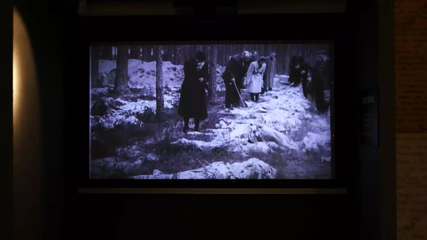 porozmawjajmy-teresa-patsidis.mp4