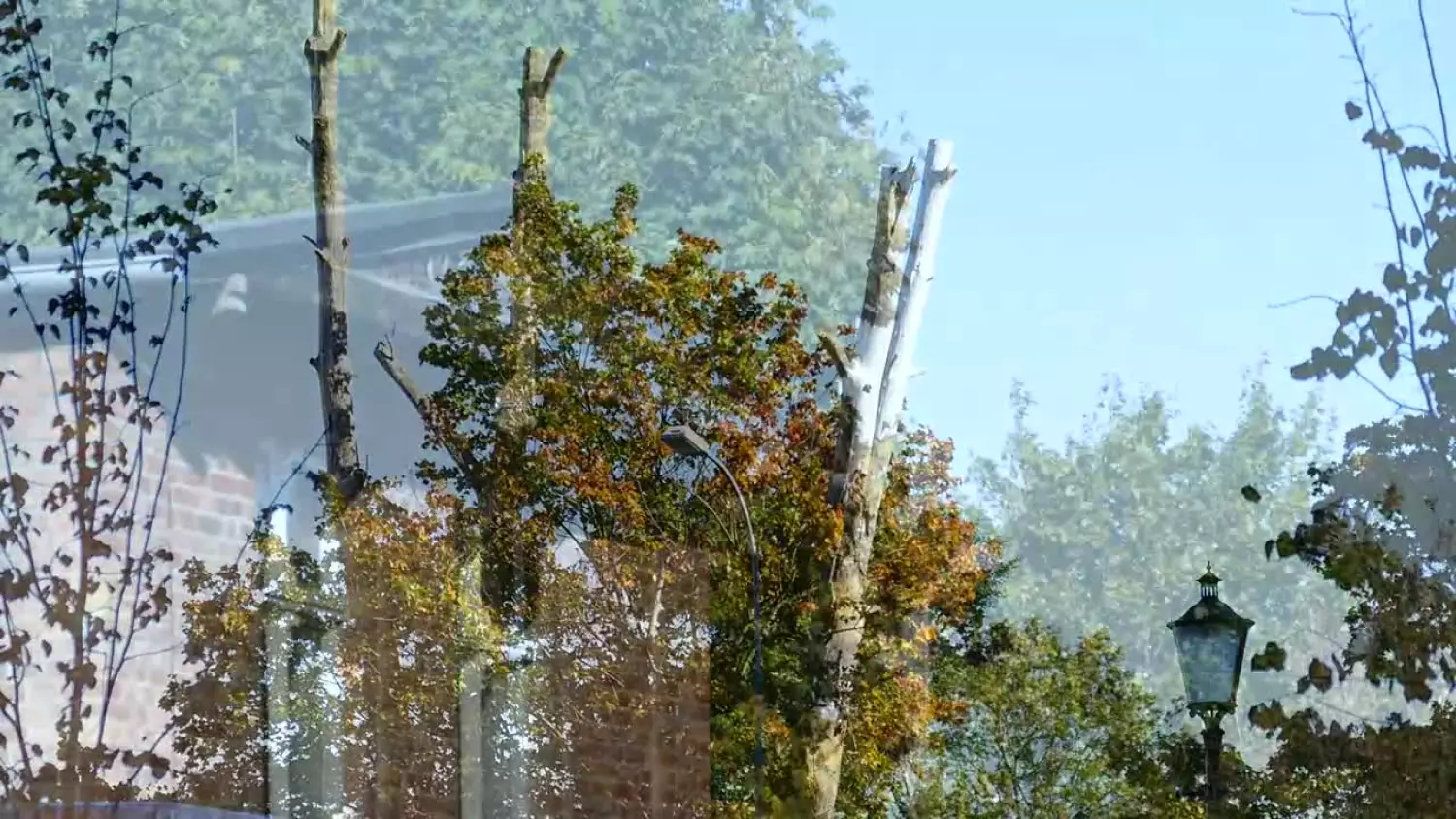 bk-jesien-w-wejher-x2023-x264.mp4