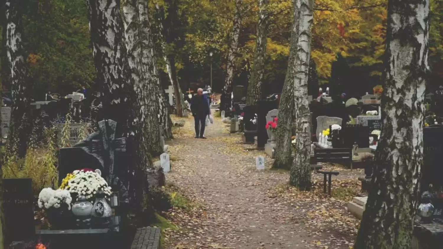 cmentarz-weju-30x02023-x265.mp4