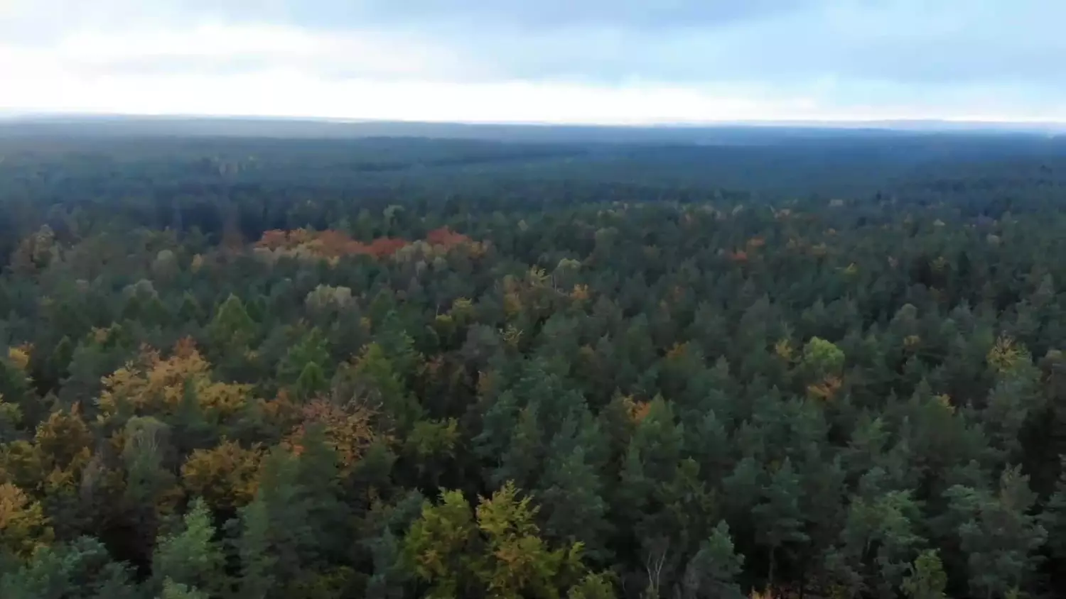 bk-jesien-na-kaszubach.mp4