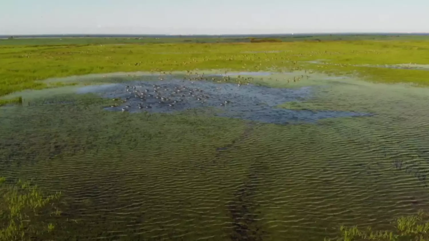 bk-rezerwat-przyrody-beka.mp4