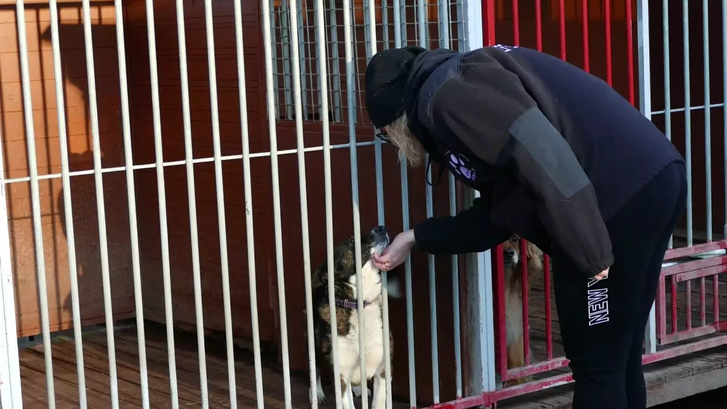 wiaderko-ciepla-wesprzyj-zima-psiaki.mp4