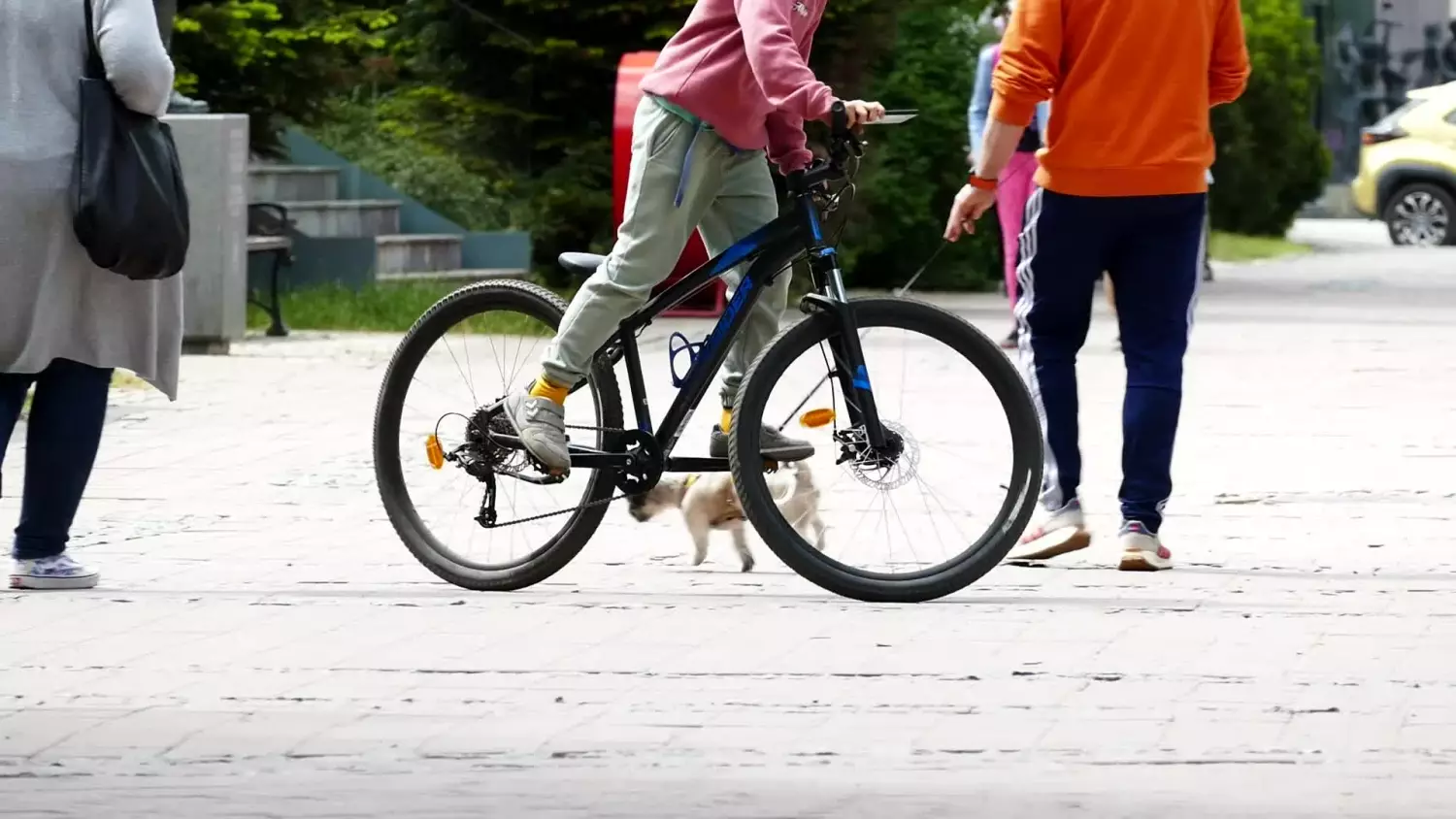 wiosna-dobry-czas-by-zrobic-karte-rowerowa.mp4