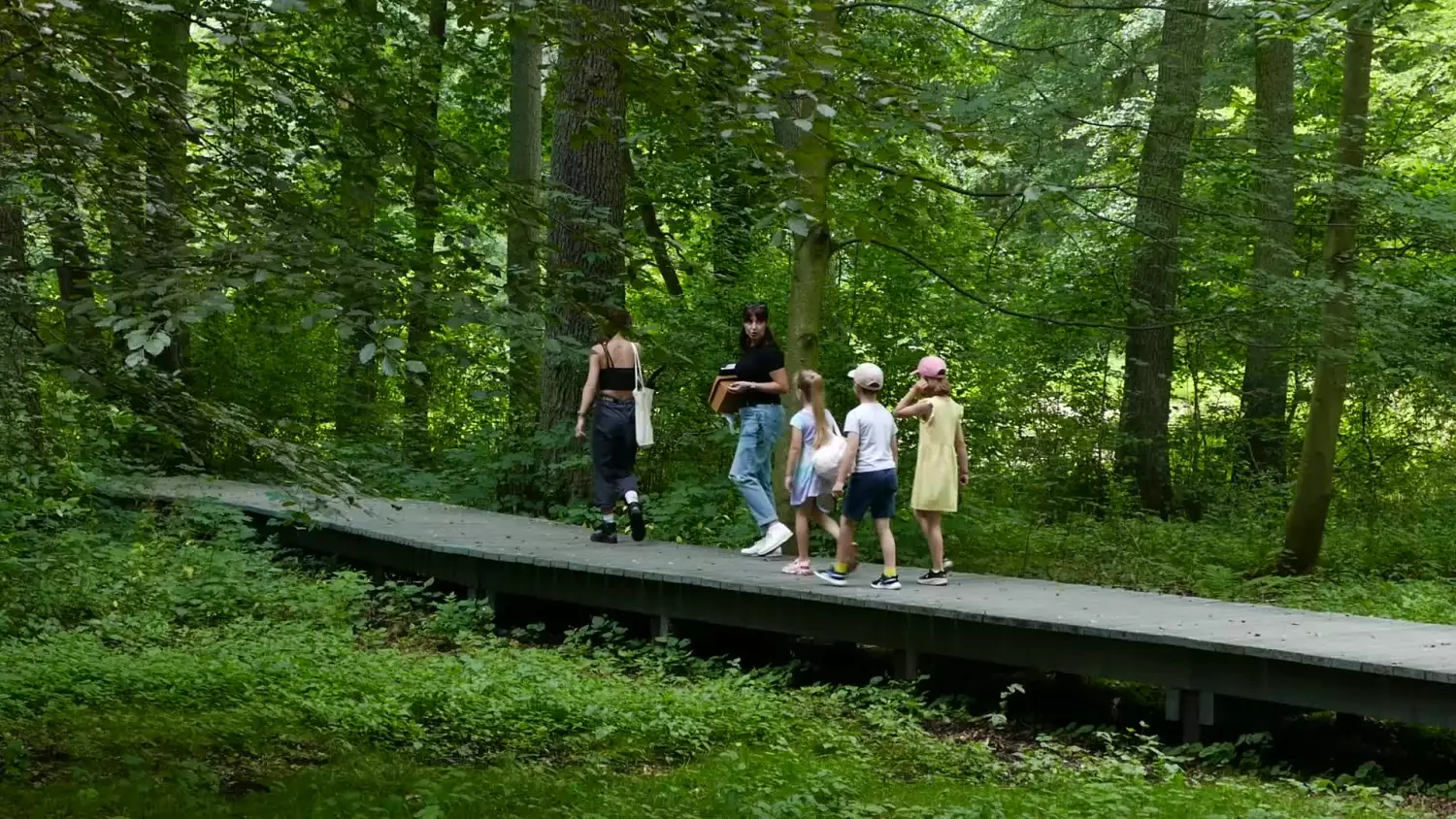 letnie-spacery-w-parku-1.mp4