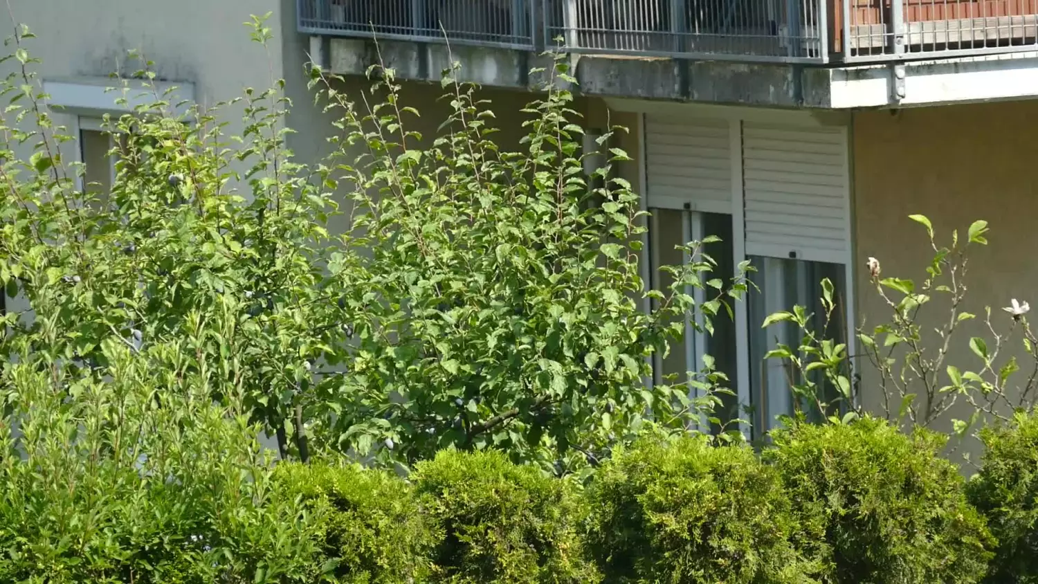 bezpieczne-wakacje-zabezpiecz-dom-przed-wyjazdem.mp4