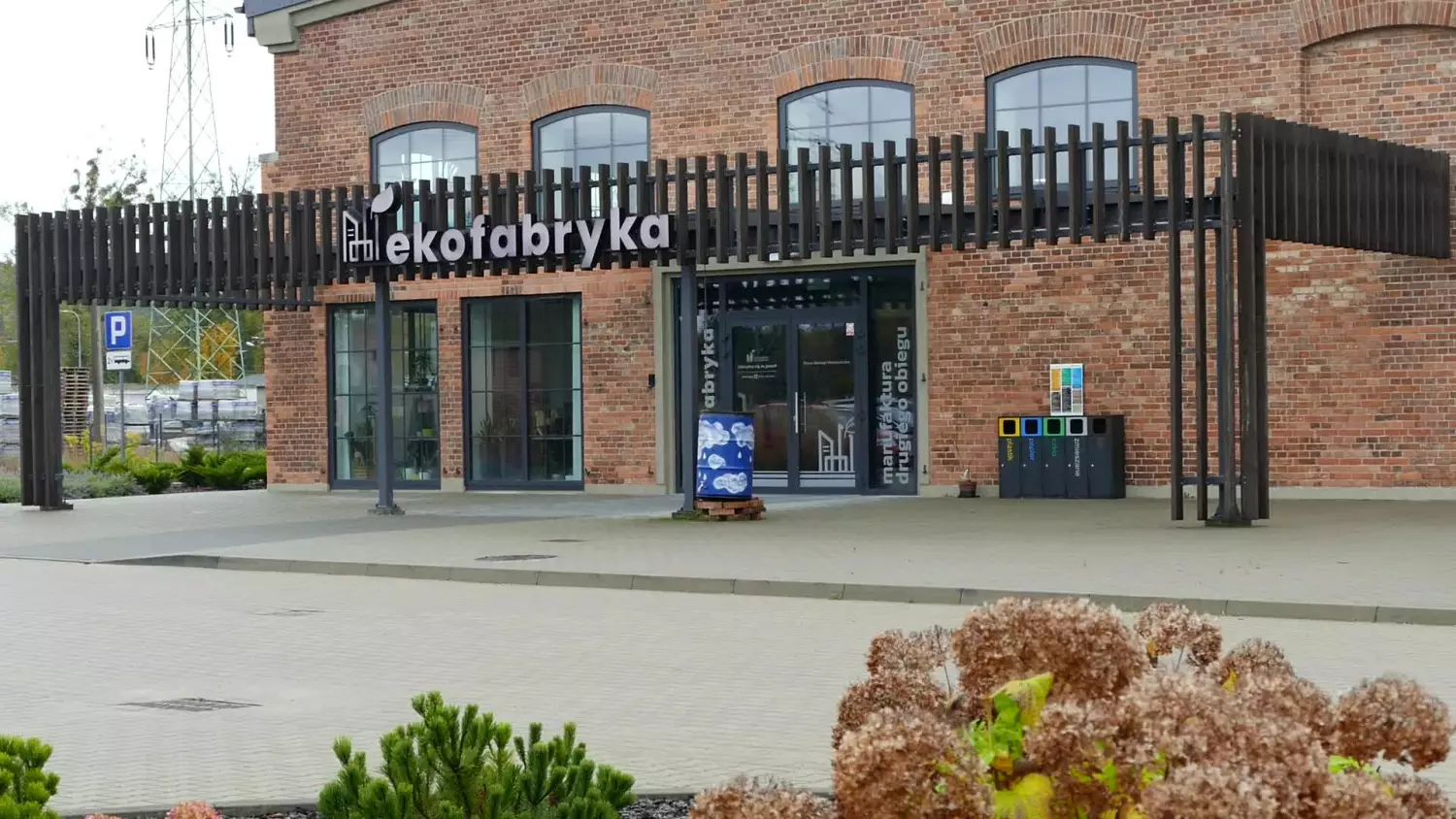 bezplatna-akcja-sterylizacji-kotow.mp4