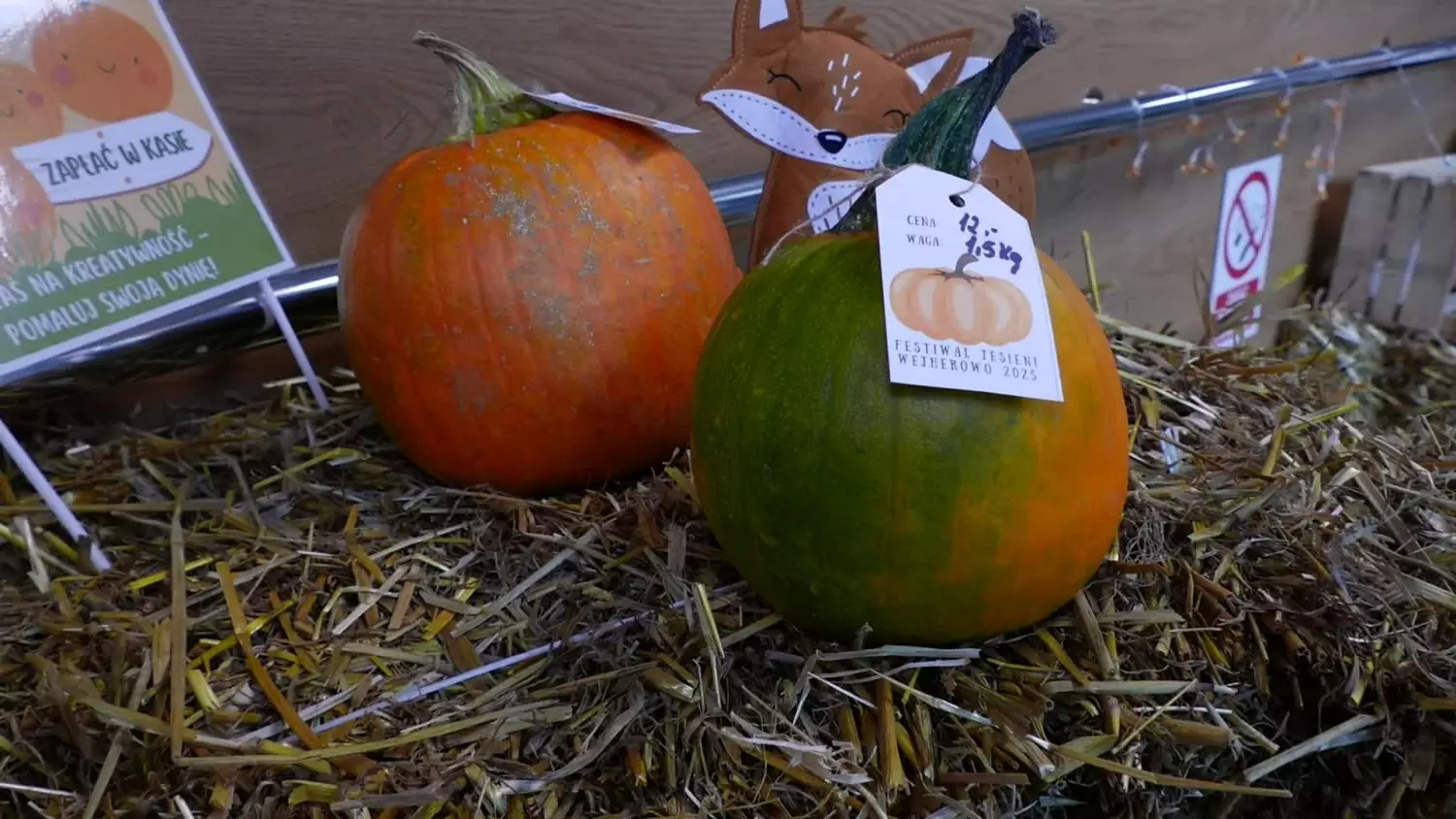 festiwal-jesieni-w-wodnych-ogrodach.mp4