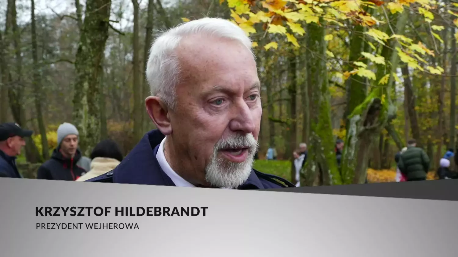 marsz-niepodleglosci.mp4